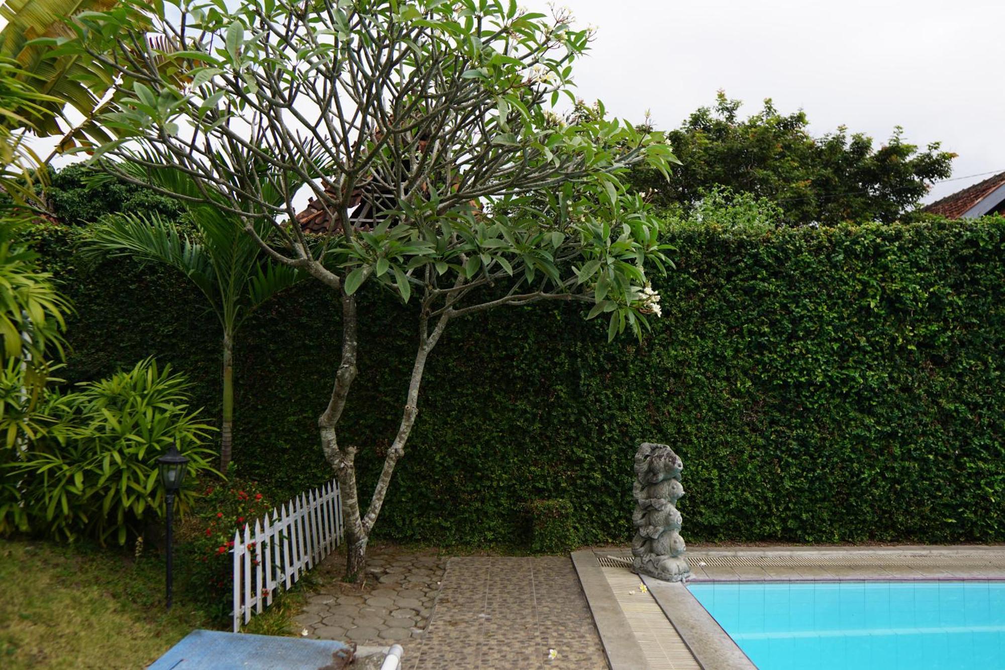 Tulips Hotel Yogyakarta