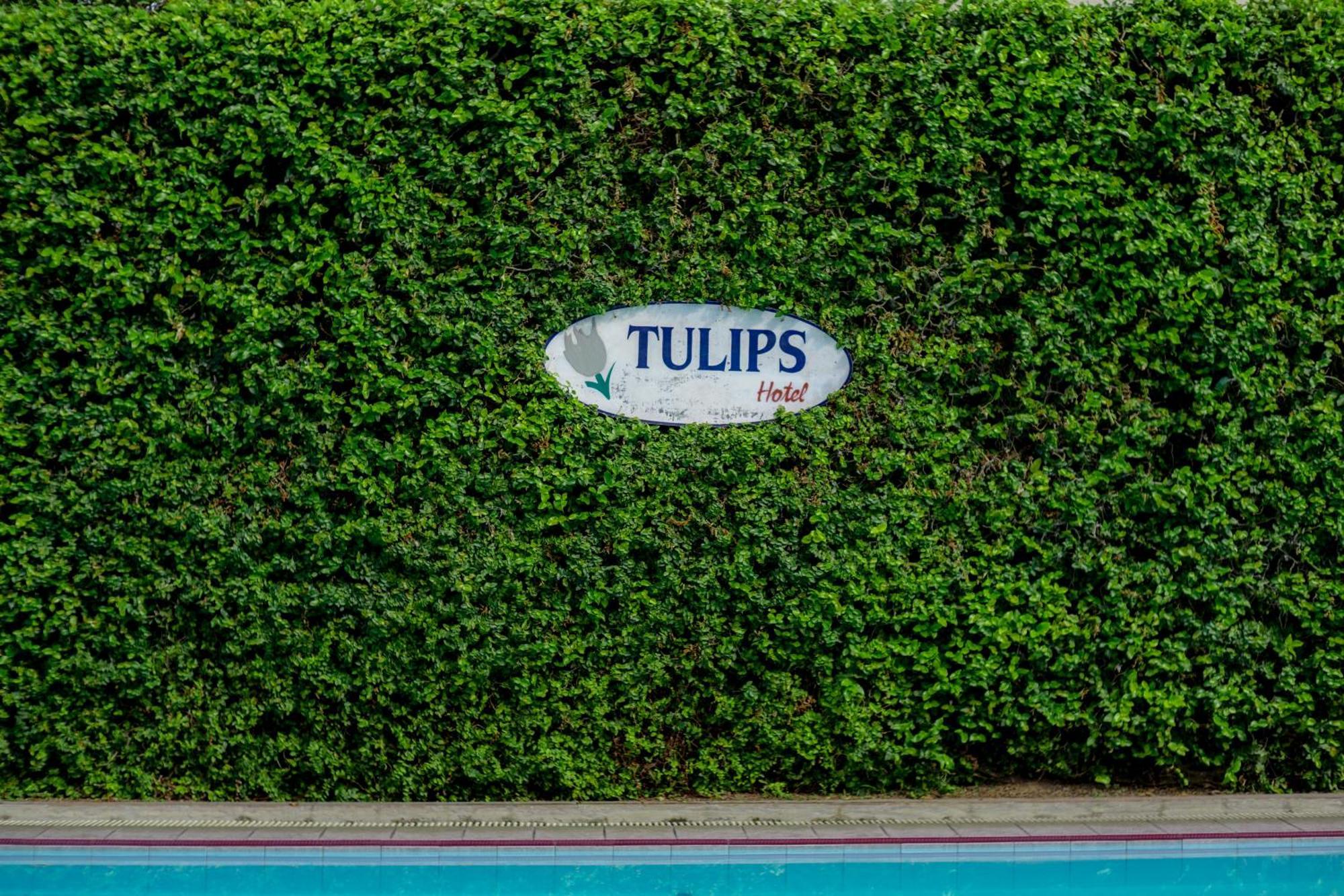 Tulips Hotel